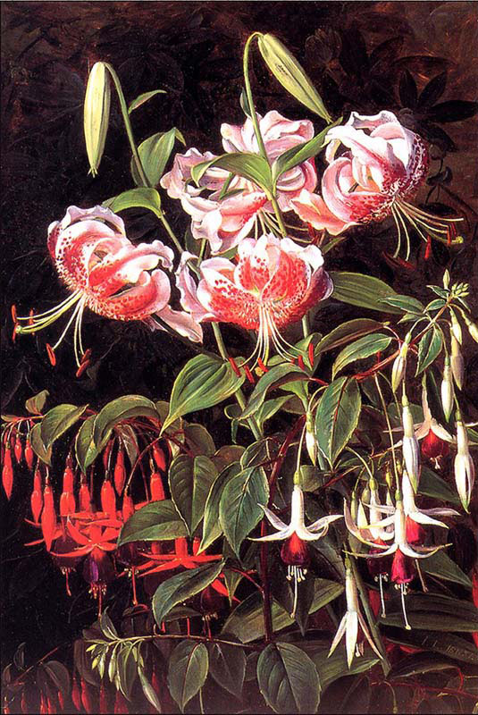 Rubrum Lilies and Fuschias
